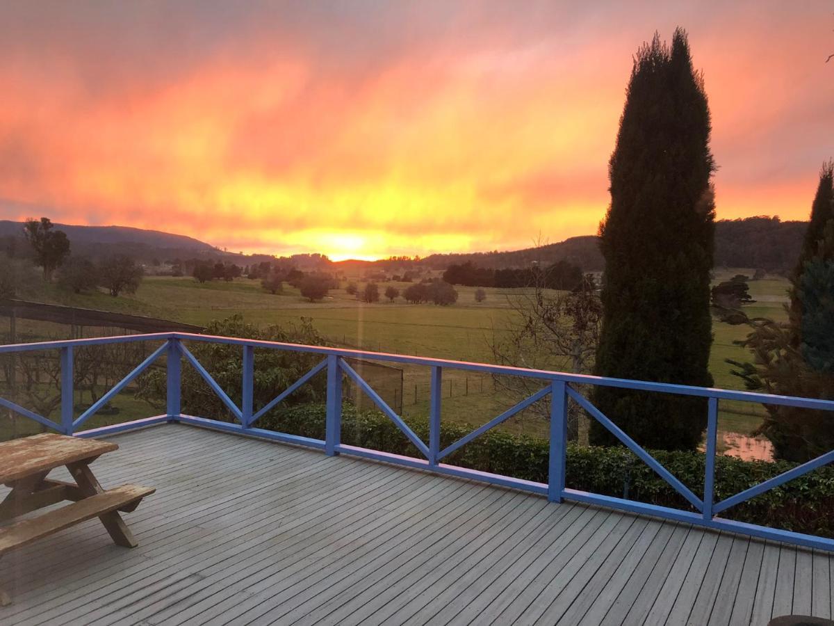 Mole Creek Hideaway Hotel Bagian luar foto
