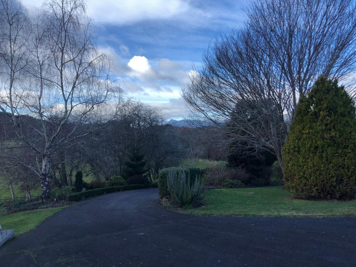 Mole Creek Hideaway Hotel Bagian luar foto