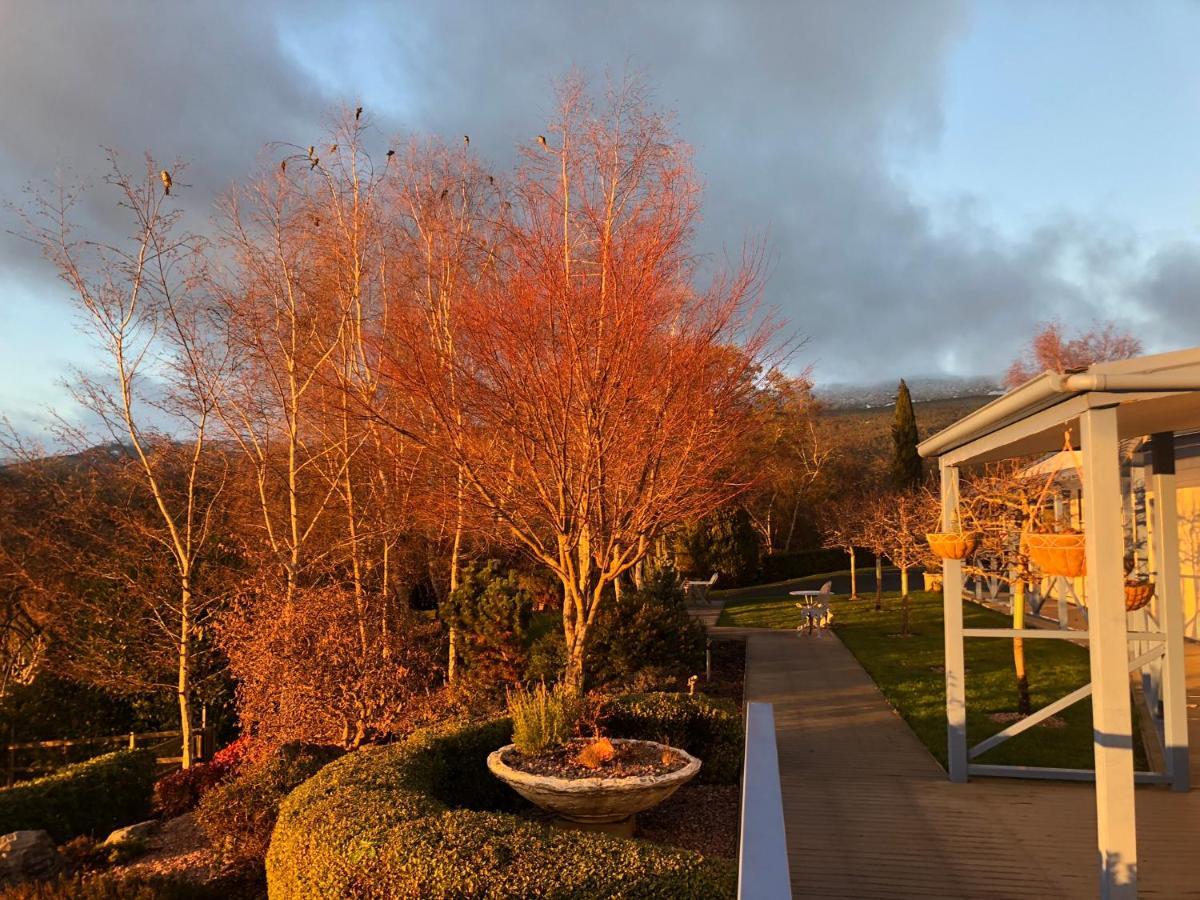Mole Creek Hideaway Hotel Bagian luar foto
