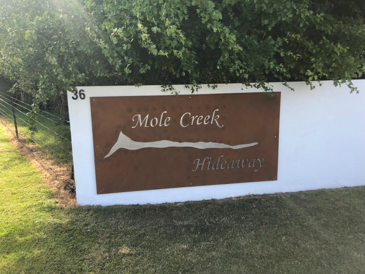Mole Creek Hideaway Hotel Bagian luar foto