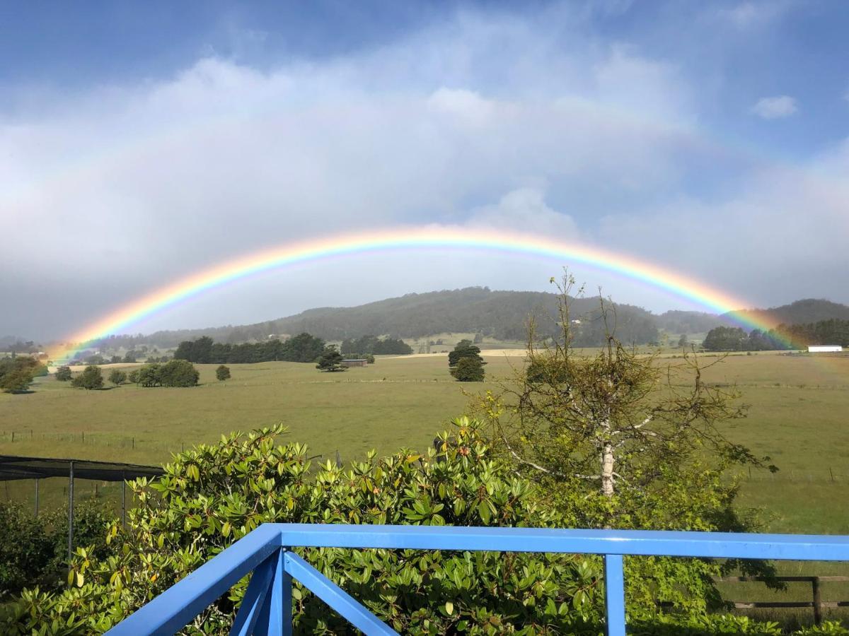 Mole Creek Hideaway Hotel Bagian luar foto