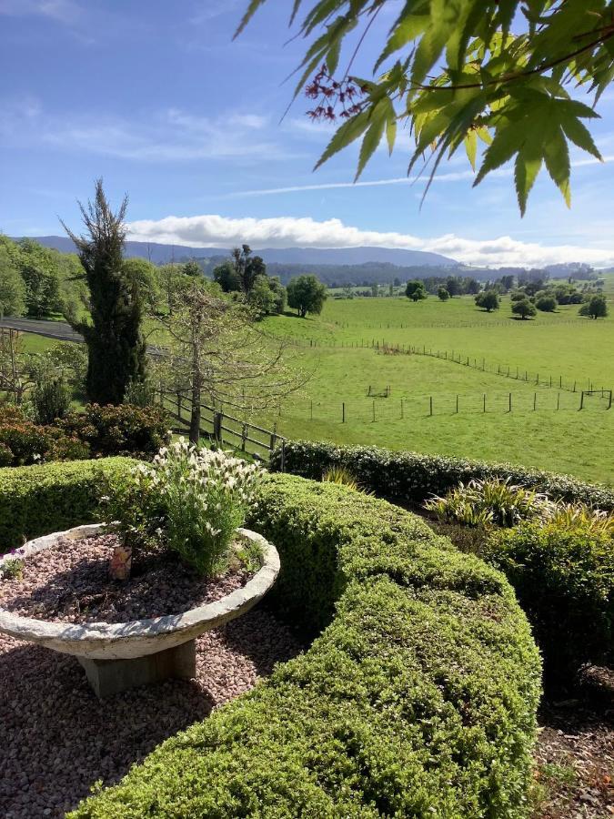 Mole Creek Hideaway Hotel Bagian luar foto
