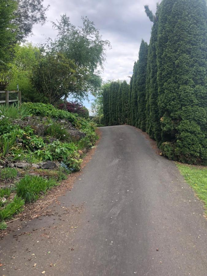 Mole Creek Hideaway Hotel Bagian luar foto